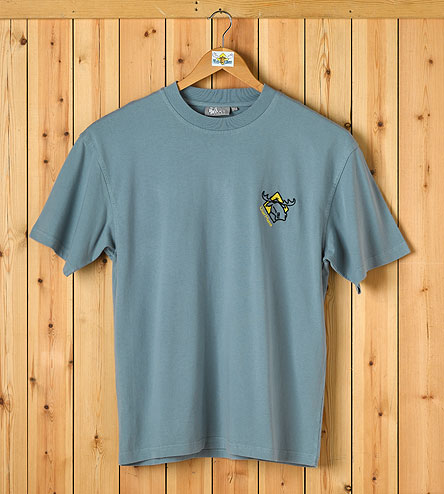 Embroidered Logo T-Shirt - Aqua
